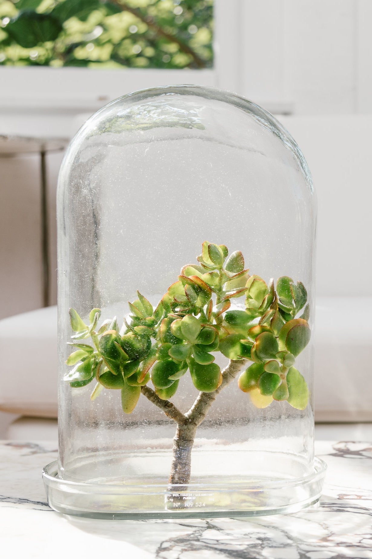 Display Glass Dome