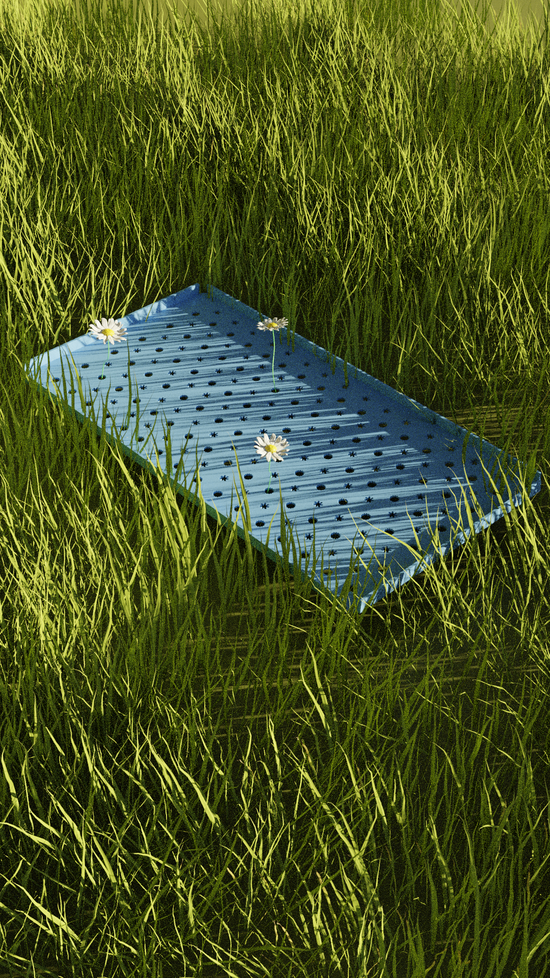 Daisy Tray (L)