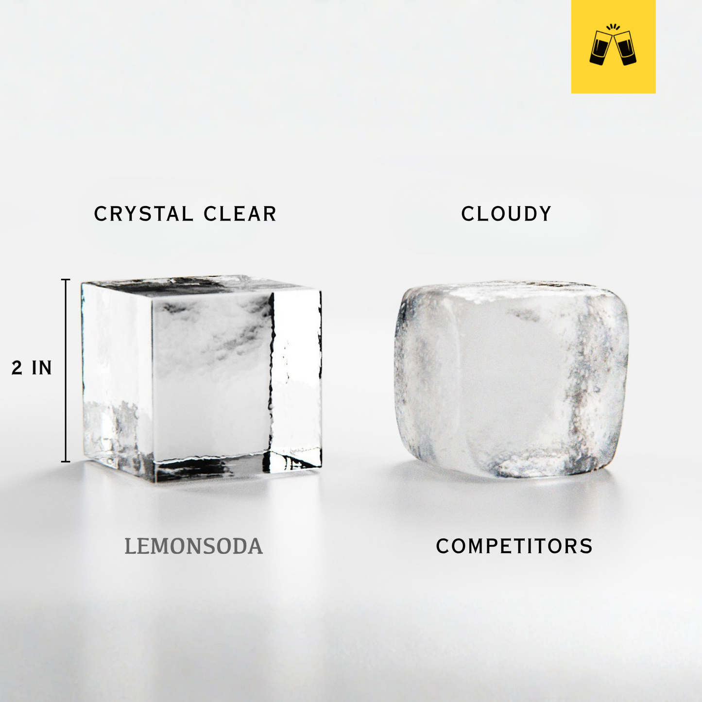 Crystal Clear Ice Cube Mold With Garnish Holder