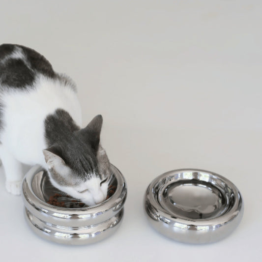 Chrome Halo Elevated Pet Bowl