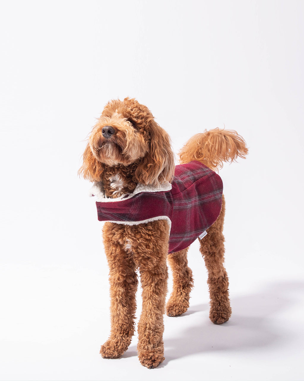 MODERN CLASSIC COAT