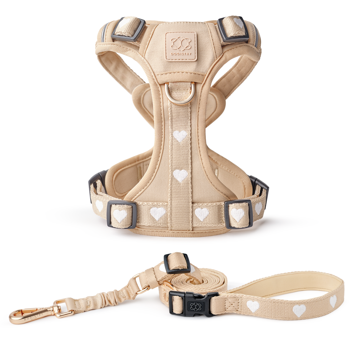 Nomad City Leash Set - Icon