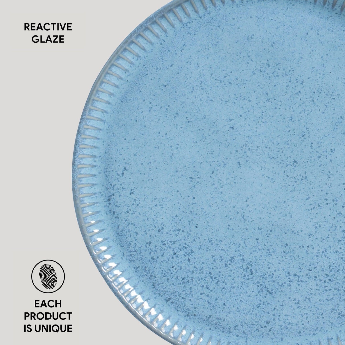 Dinner Plate Set of 6