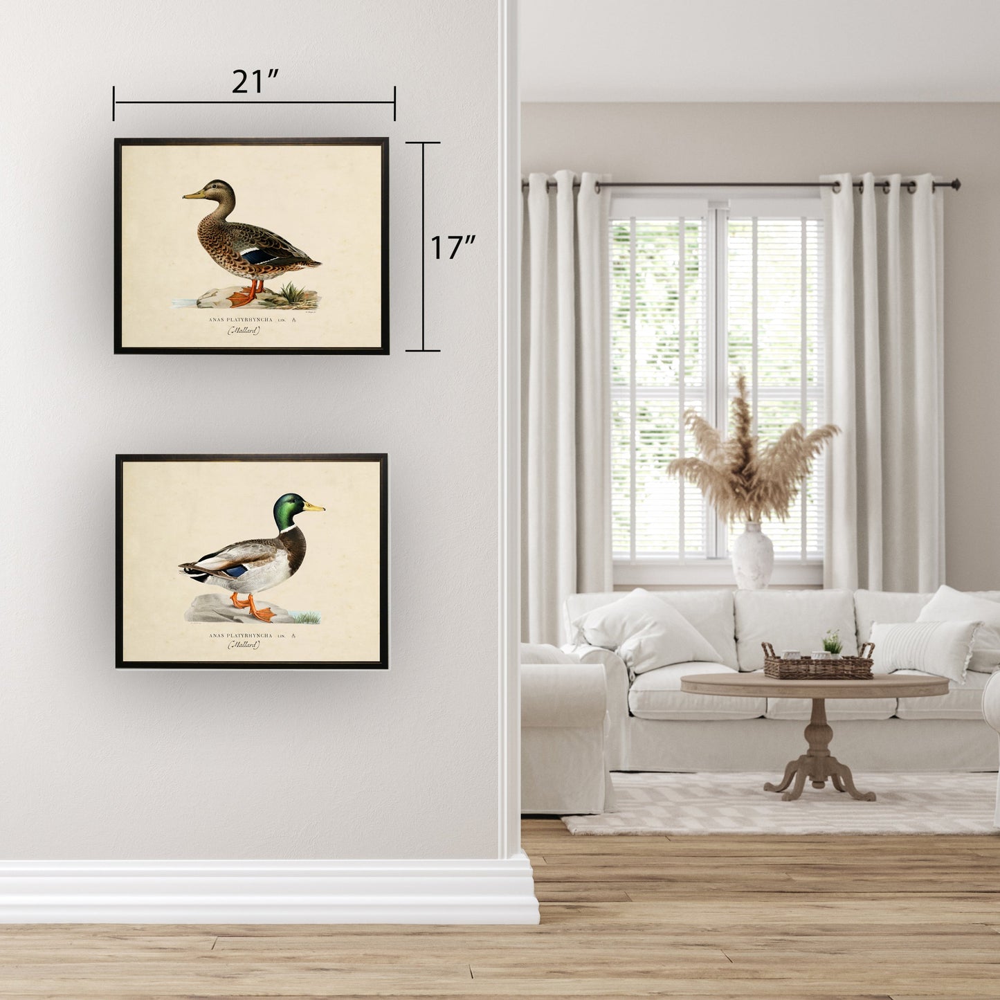 Mallard Print in Copper and Black Frame