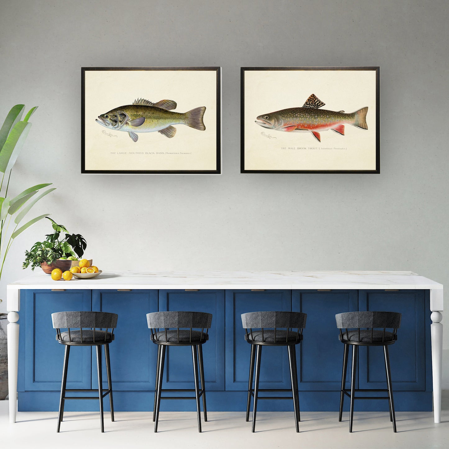 Large-Mouthed Black Bass Print in Copper and Black Frame
