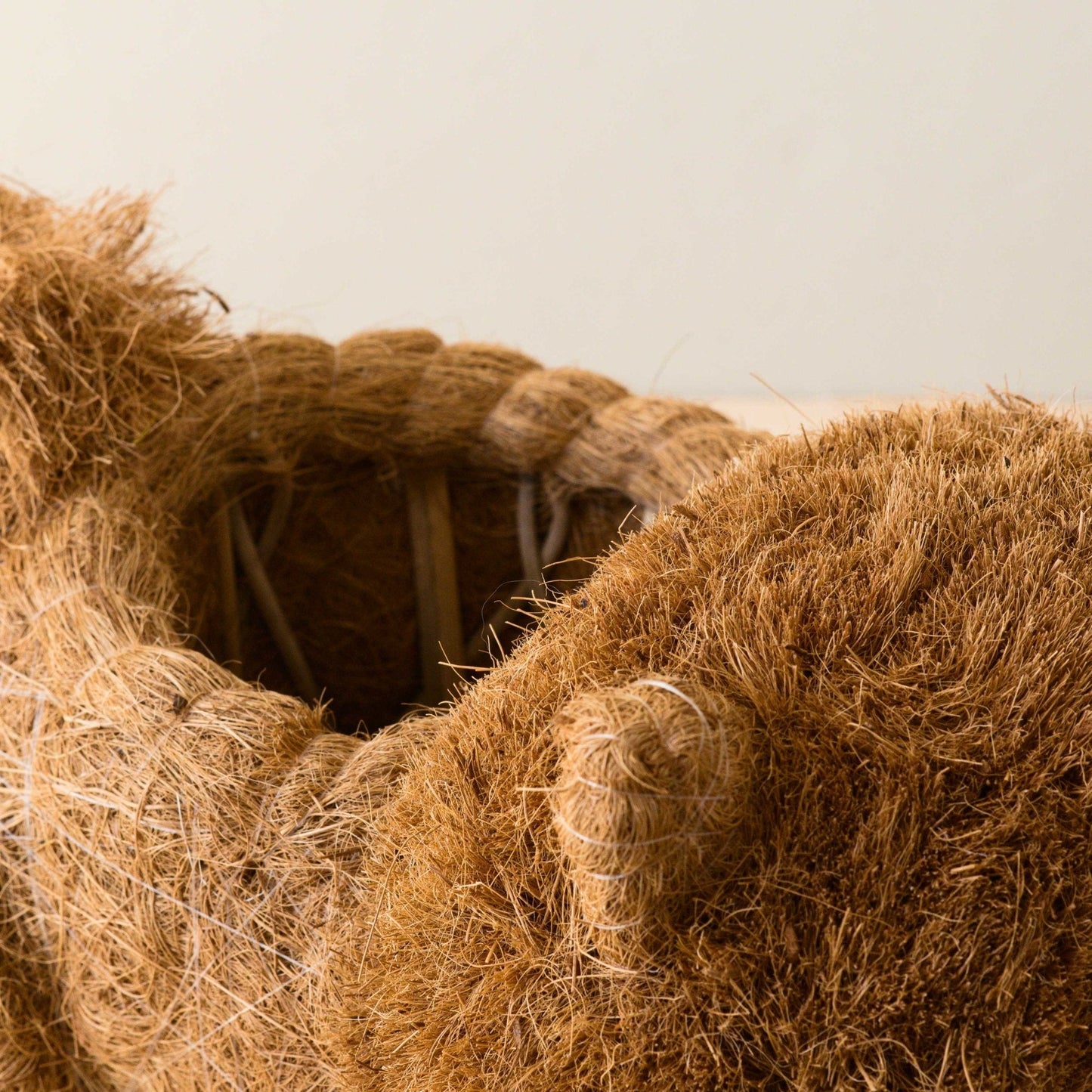Chow Chow Planter