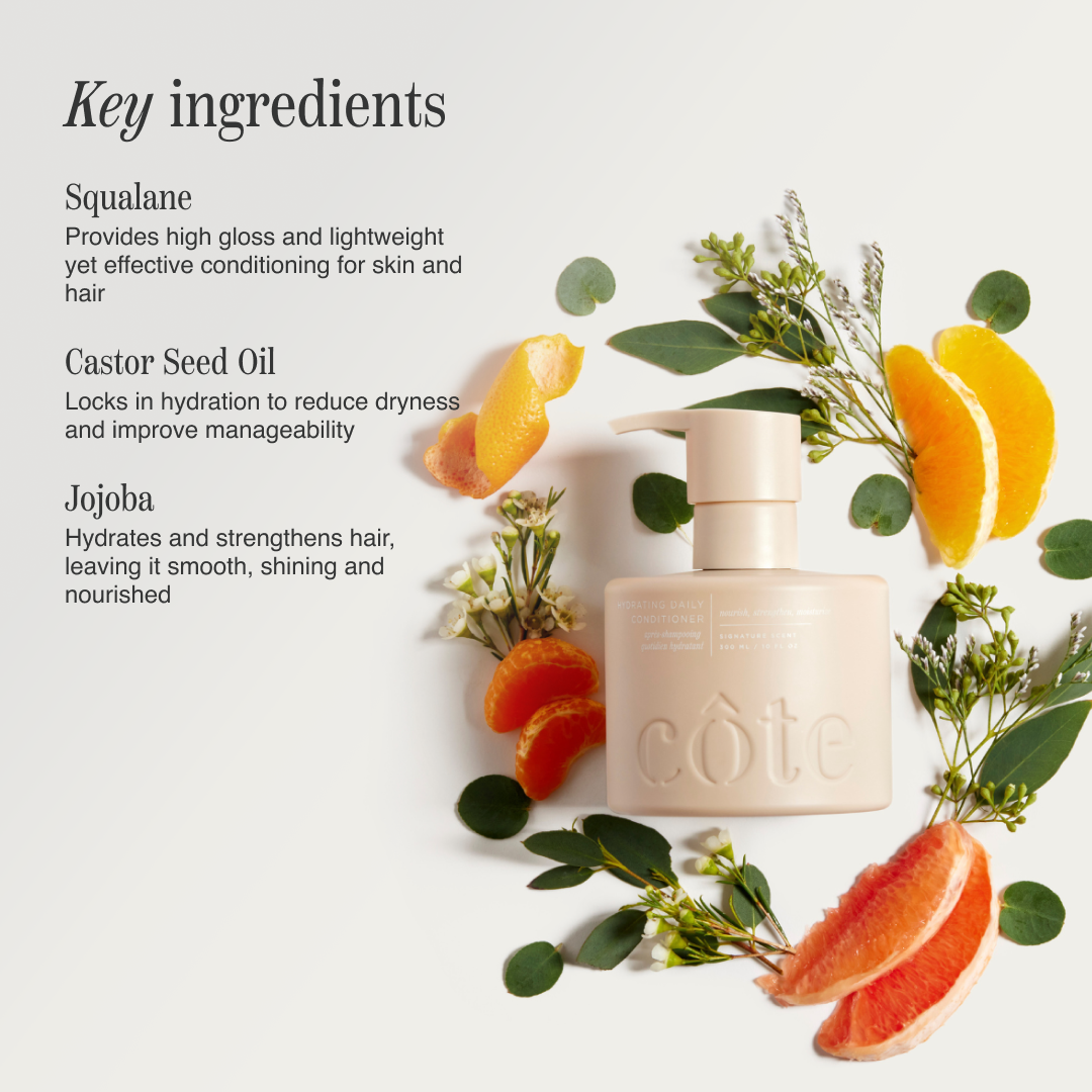 Daily Hair Essentials Set