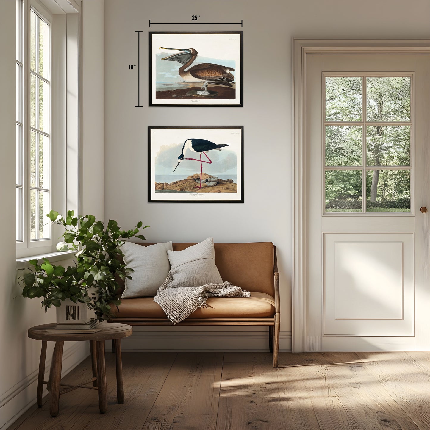 Brown Pelican in Black and Copper Frame