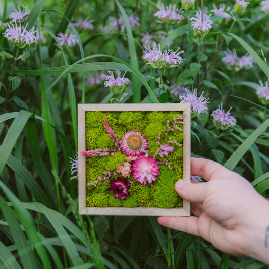 Square Garden