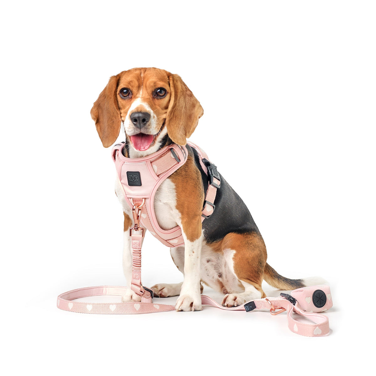 City Leash Set - Sweetheart (NoMad)