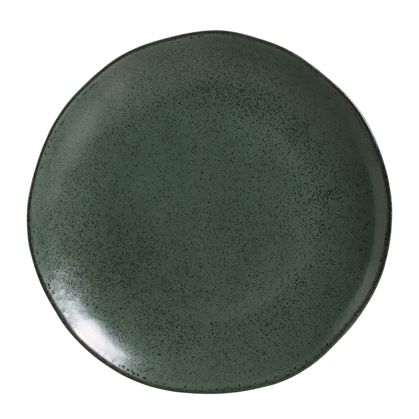 Dinner Plate Set of 6