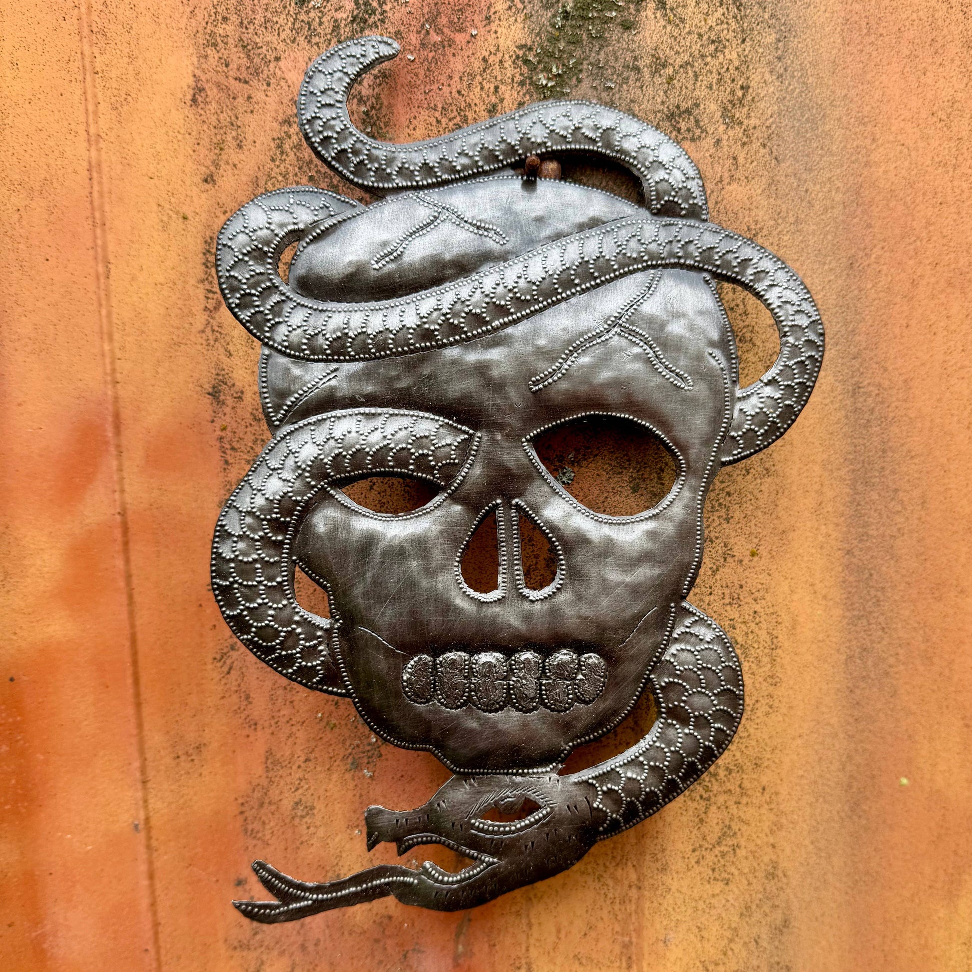 Skull Skeleton with Snake, Haitian Metal Art 10"x7"
