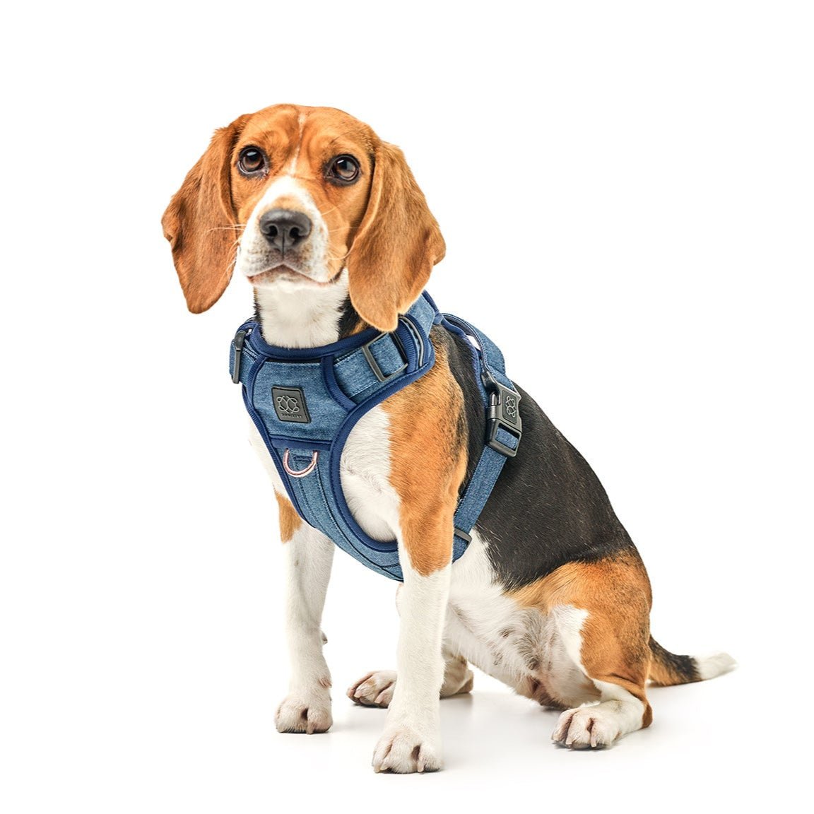City Leash Set - Denim NoMad