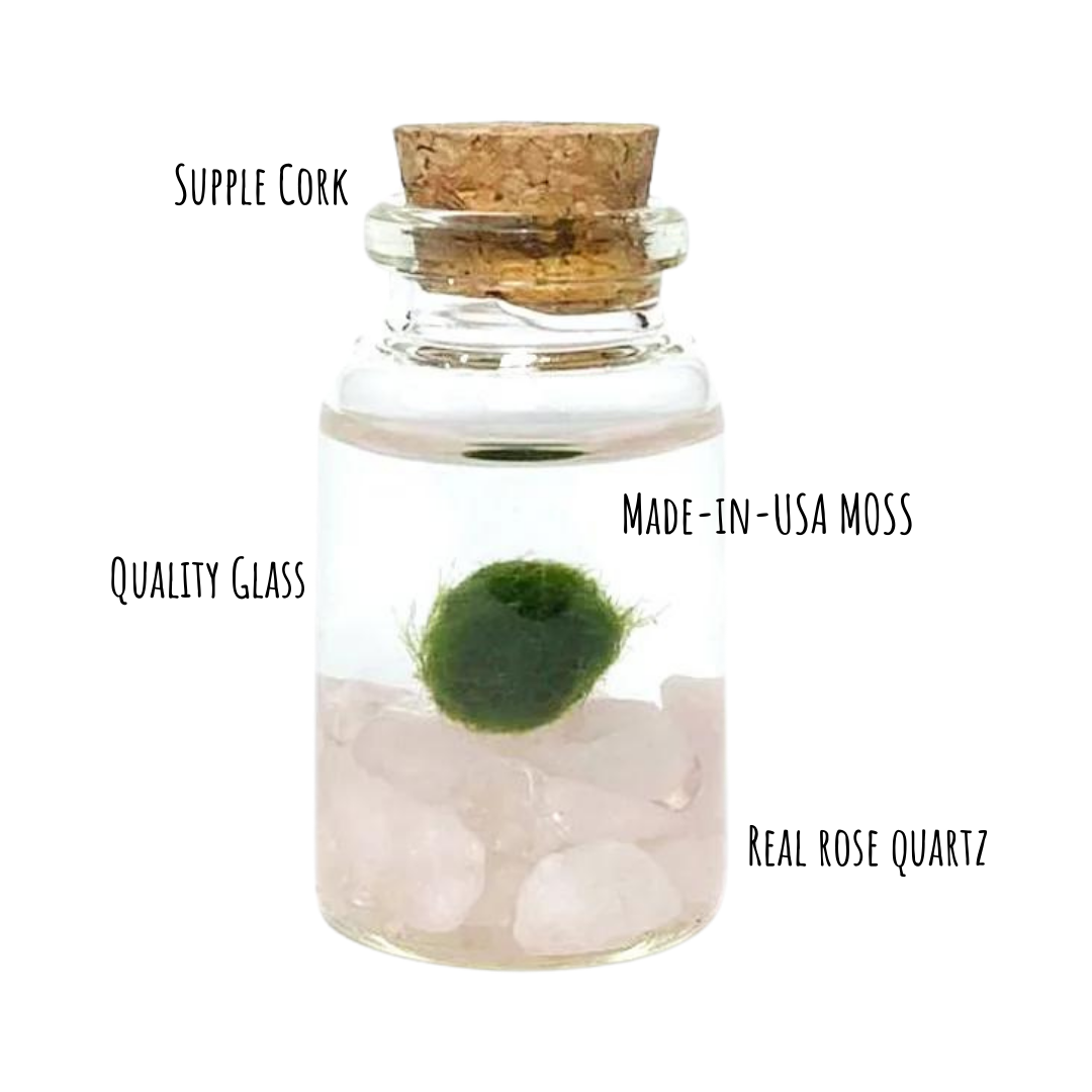 Mini Moss Ball | Rose Quartz Moss Niño