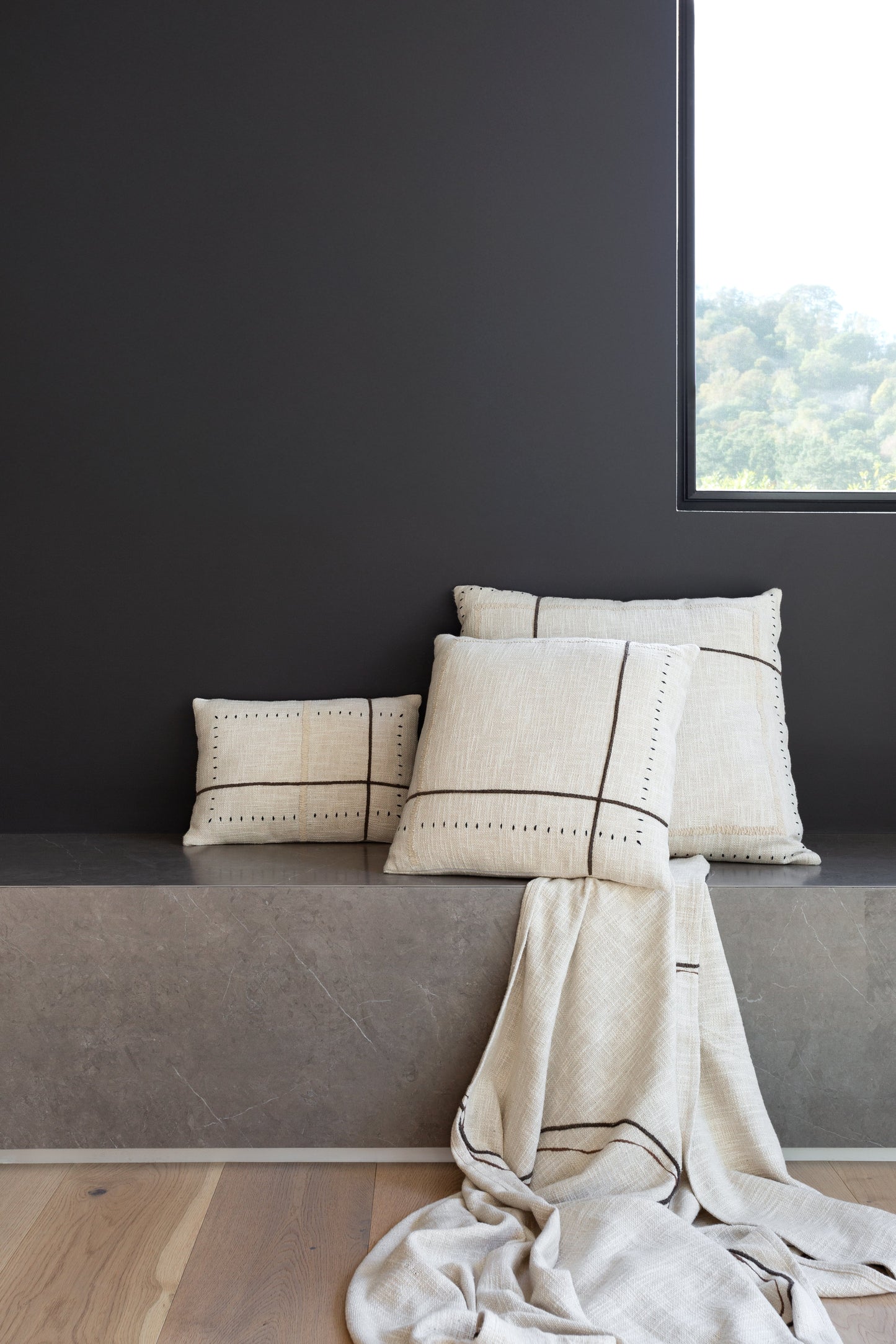 Frame Pillows