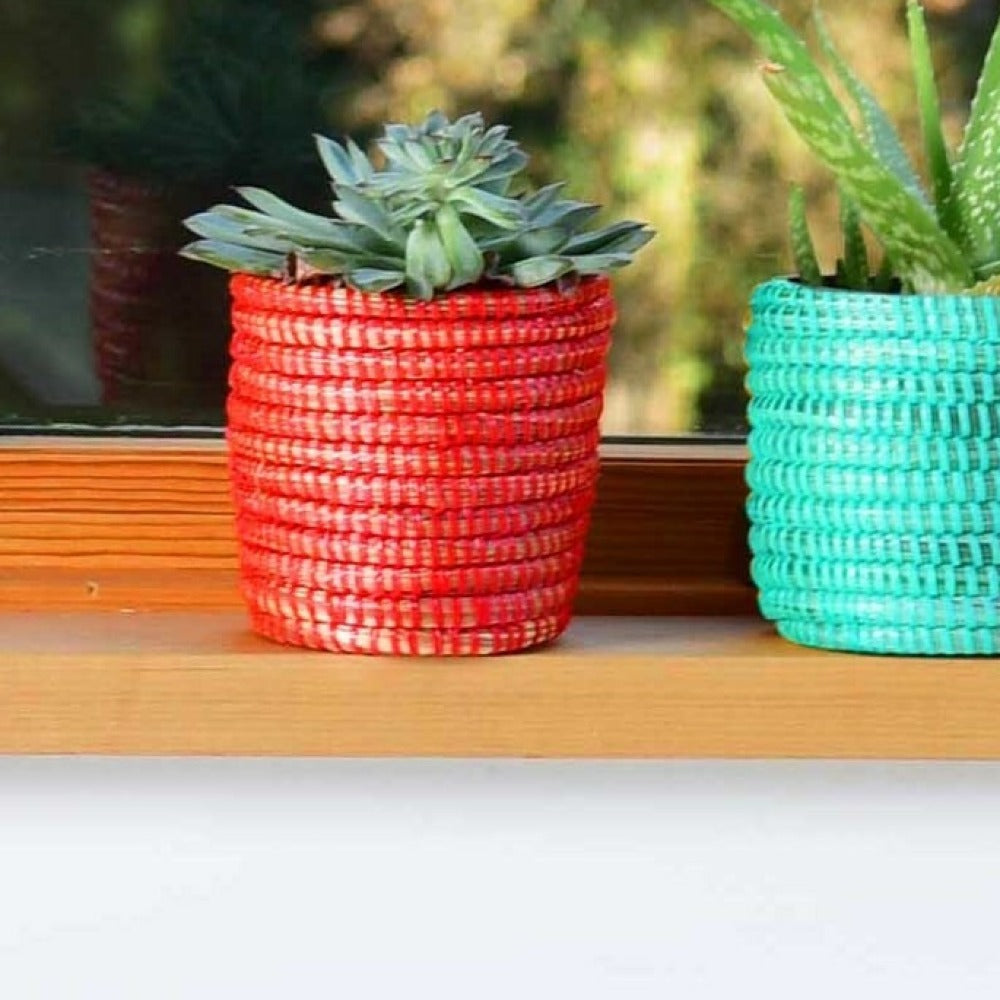 Succulent Basket Planter