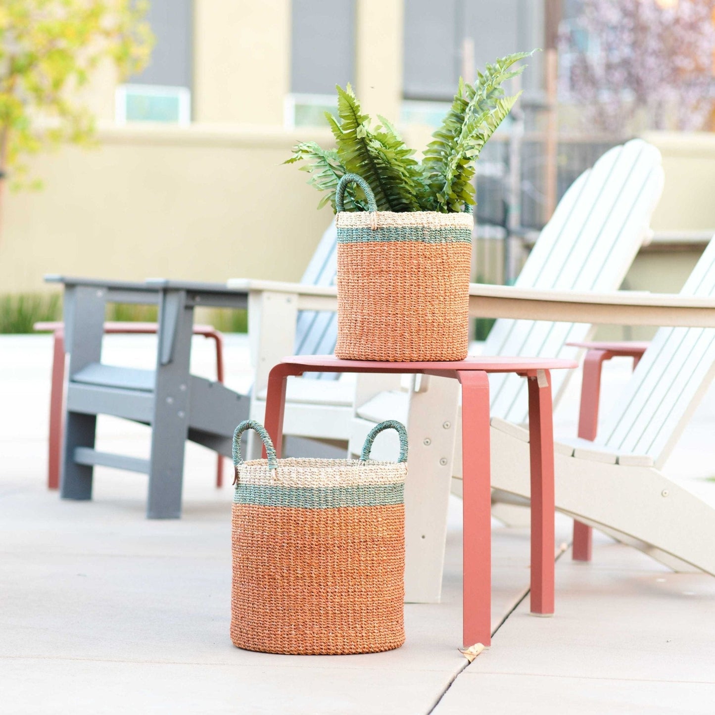 S/2 Coral Baskets with Handle