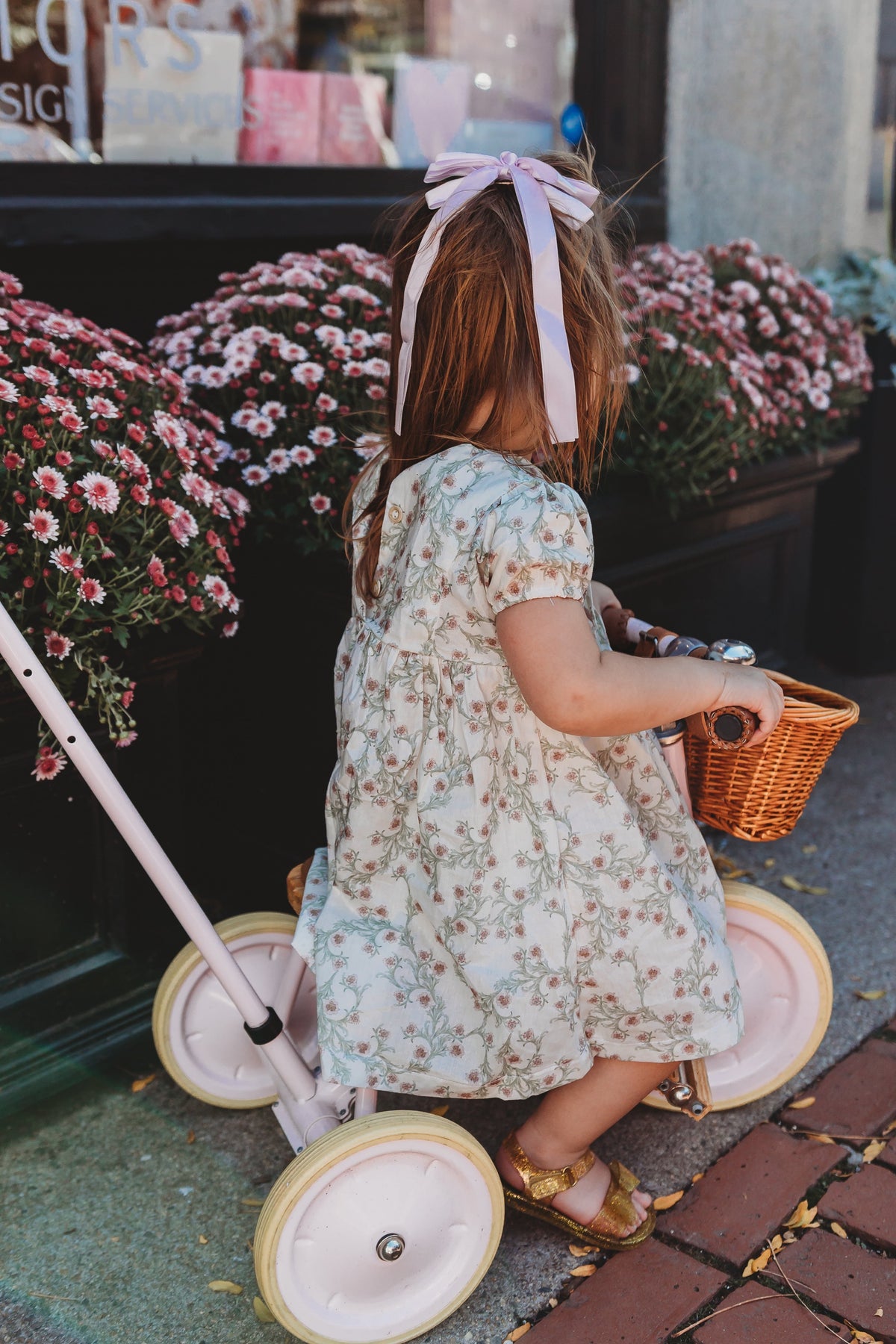 Yara Dress- Lavender Fields
