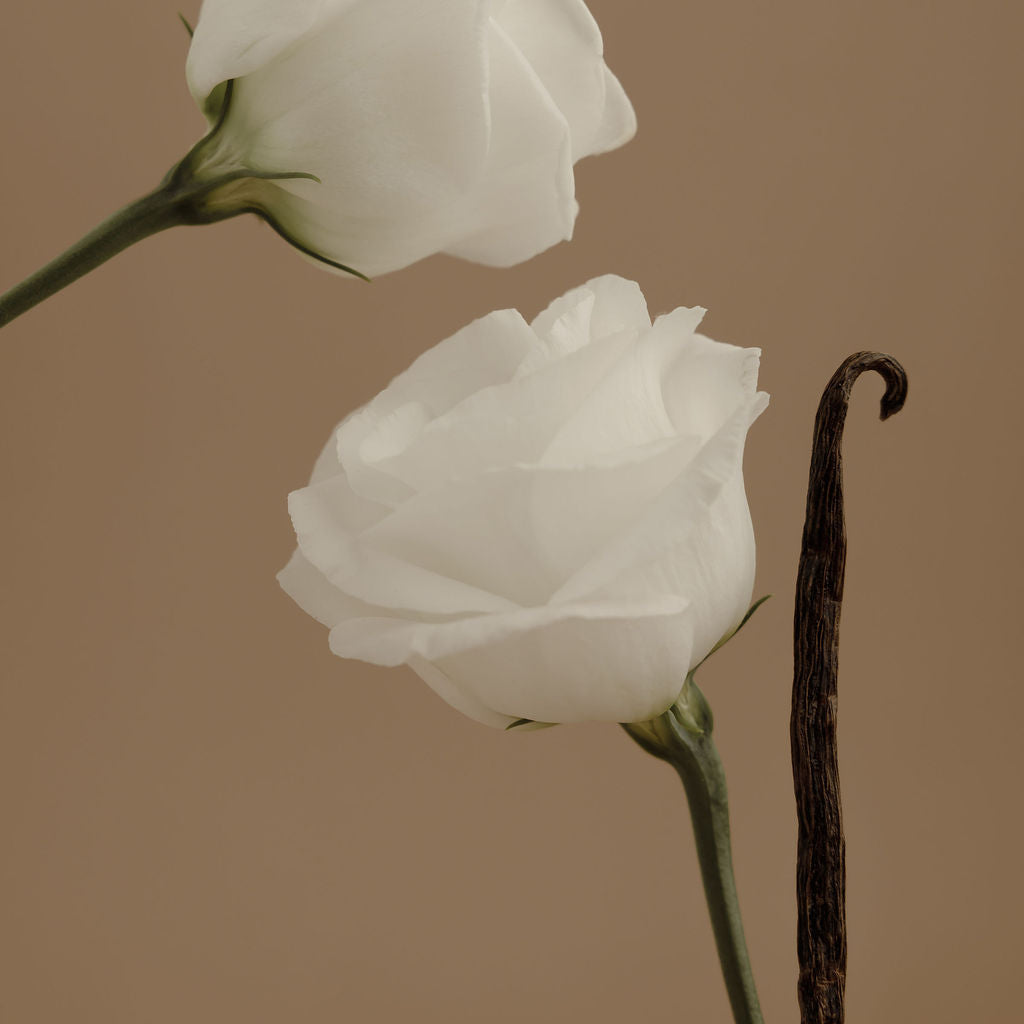grapefruit + tonka bean | AURA Perfume