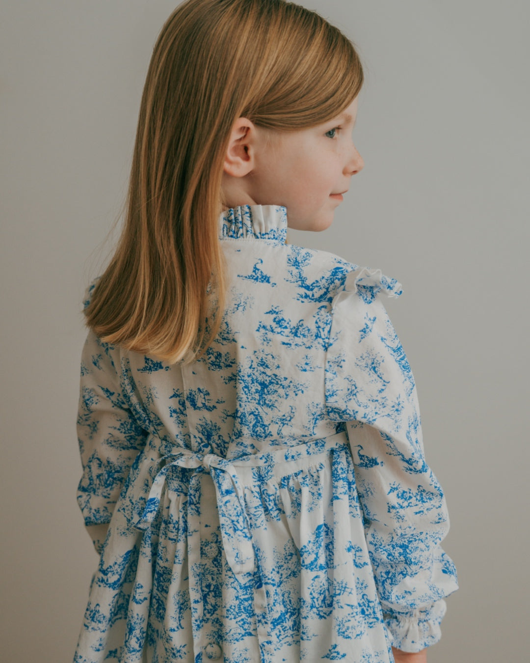 Aoki Dress-Blue Toile | Long Sleeve