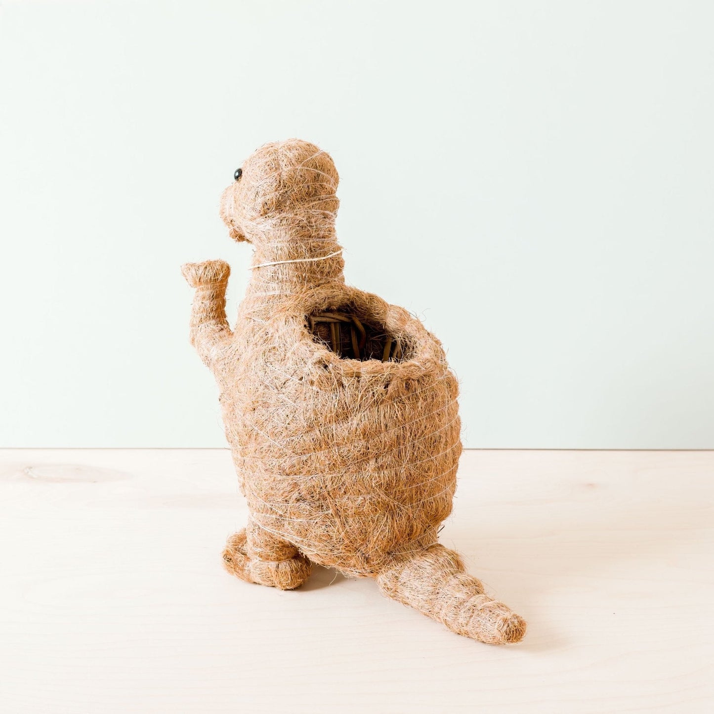 T-Rex Planter