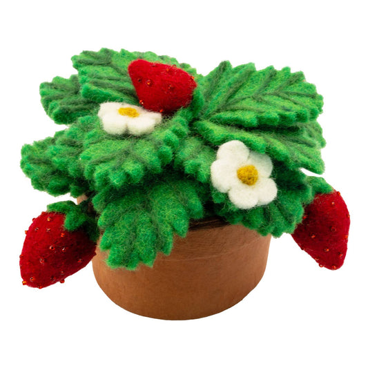 Strawberry Potted Plant