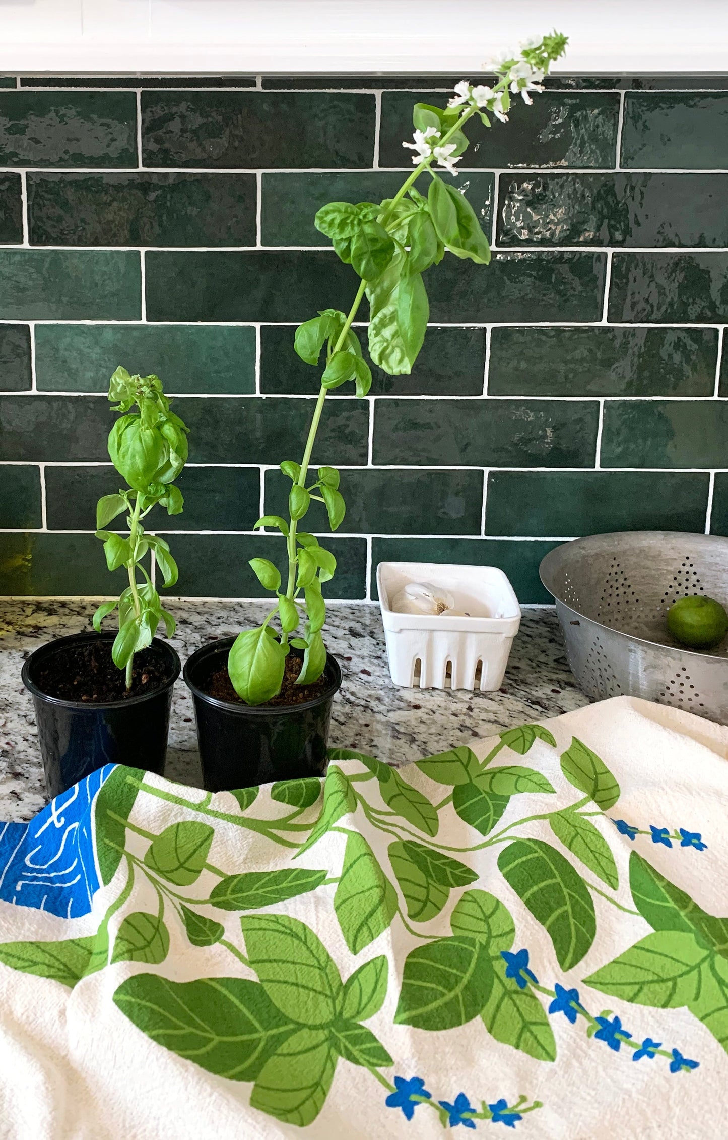 Fresh Herbs- Dish Towel Set of 2