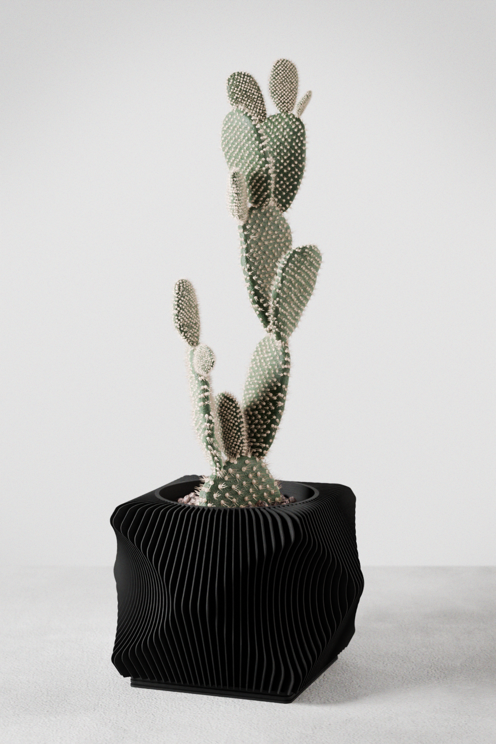 Xenova Planter
