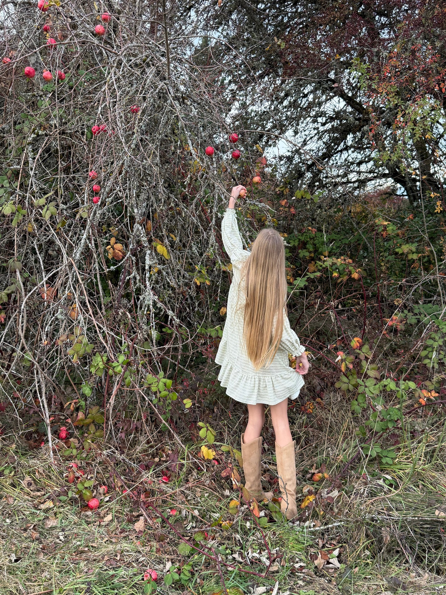 Fiona Dress- Blush Vine Stripe