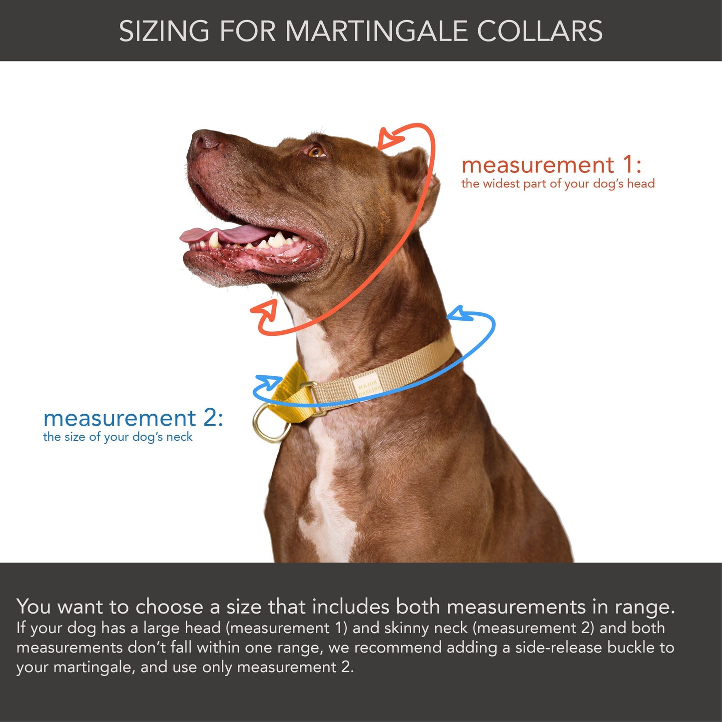 Martingale Dog Collar – Leopard / Peach