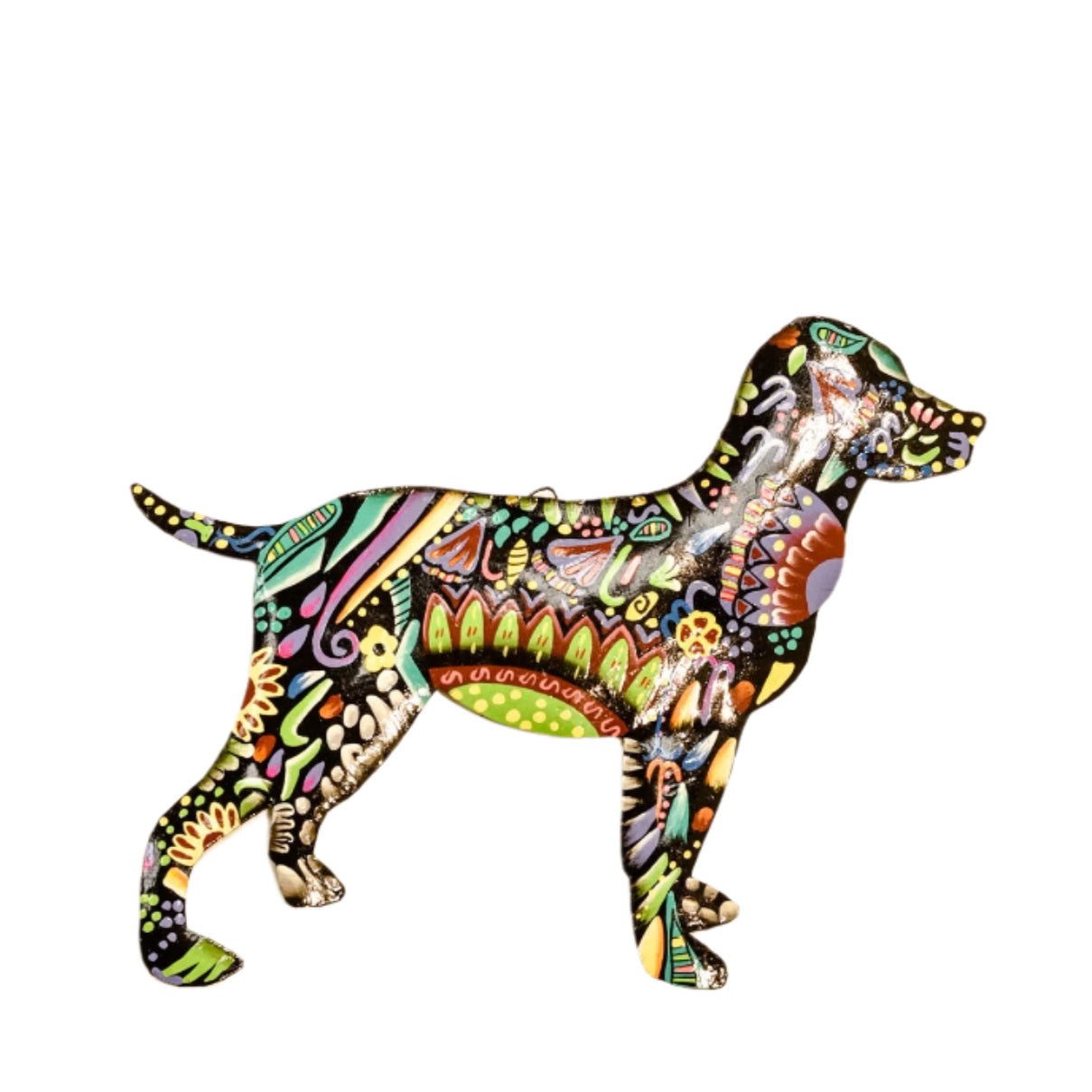 Vivid Dog