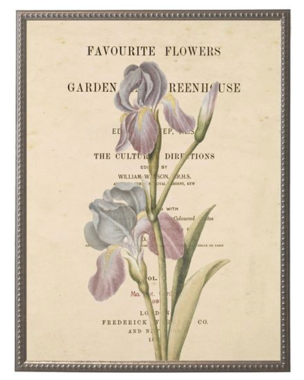 Purple Flower on Book Page in Silver-Beaded Frame