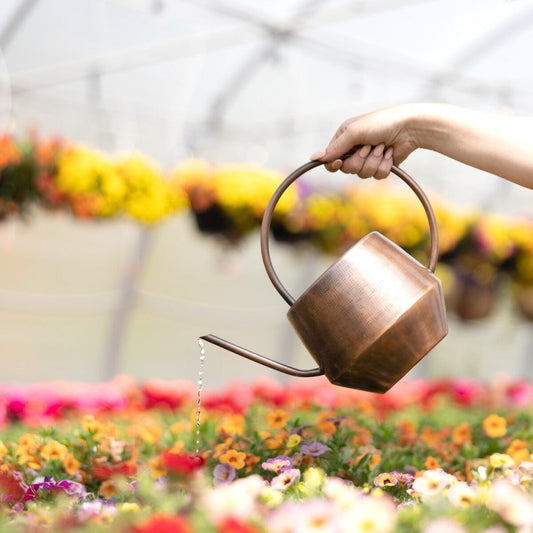 Antique Copper Watering Can