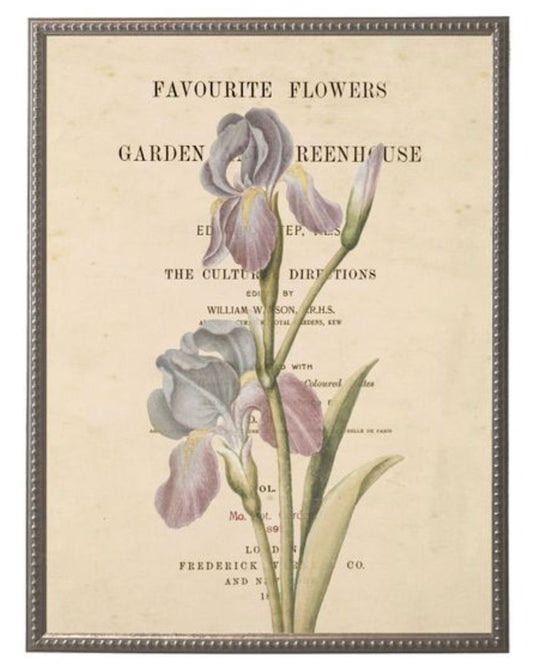 Purple Flower on Book Page in Silver-Beaded Frame