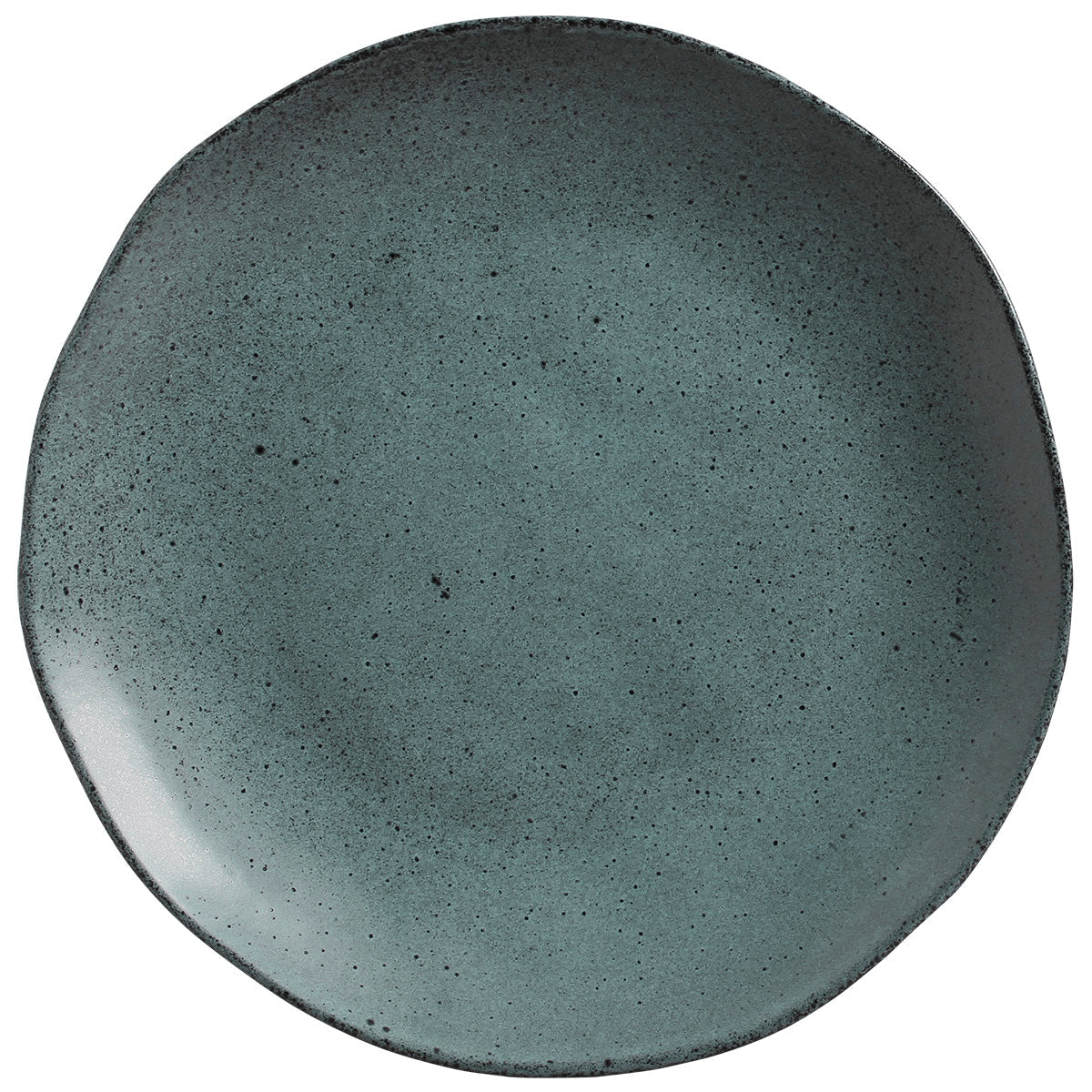 Dinner Plate Set of 6