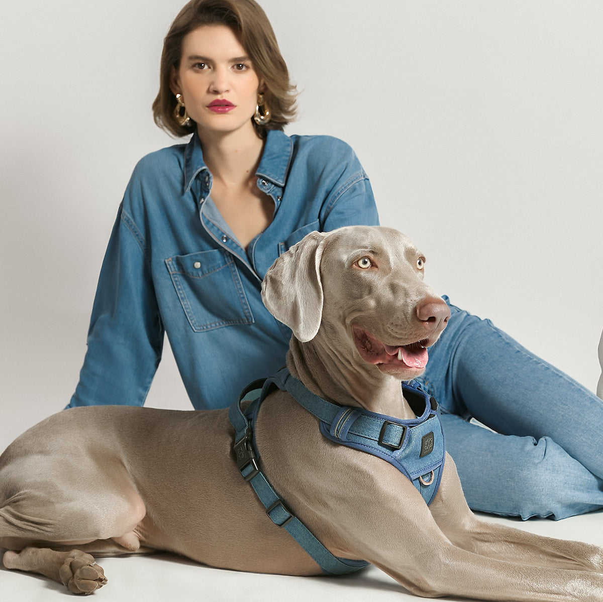 City Leash Set - Denim NoMad