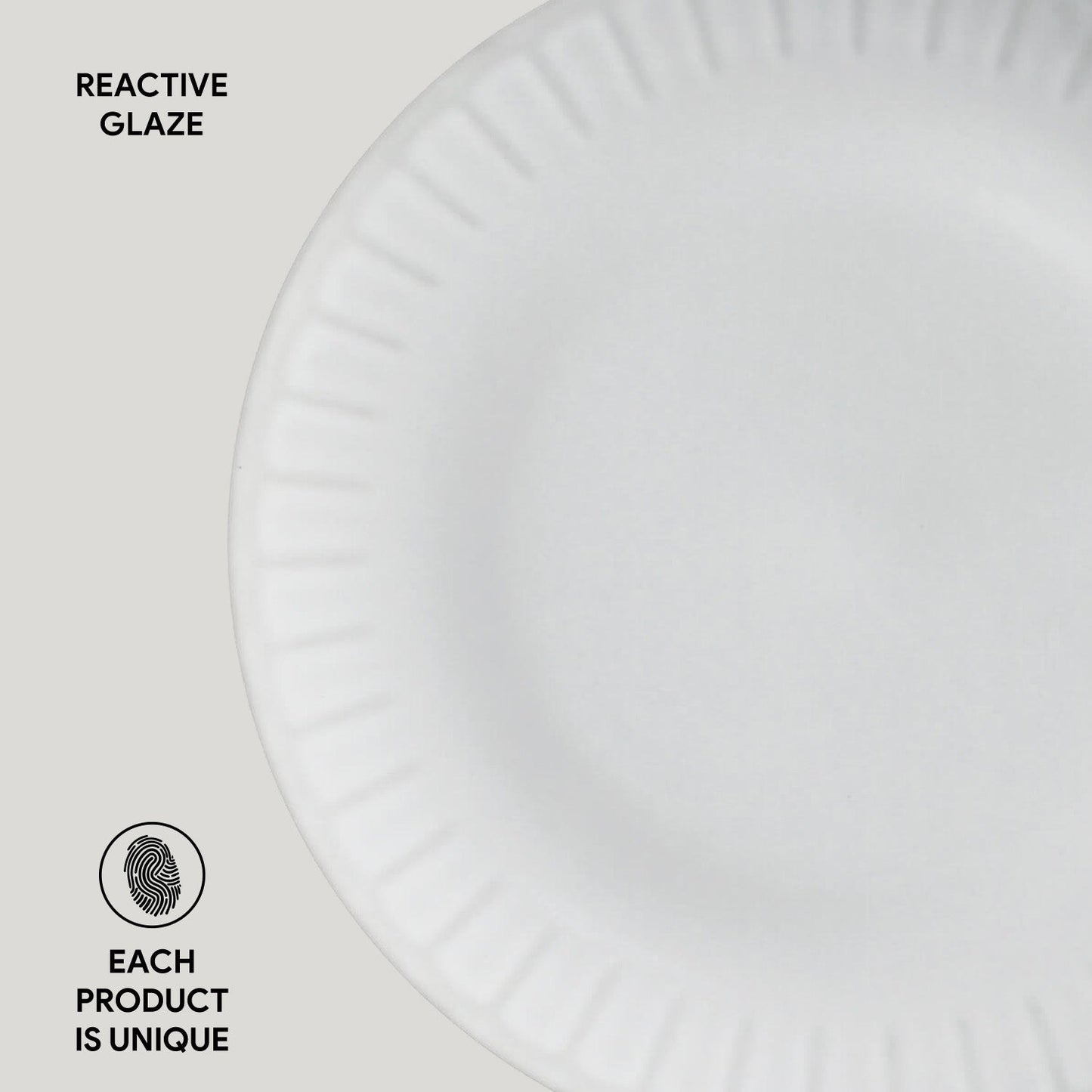Dinner Plate Set of 6