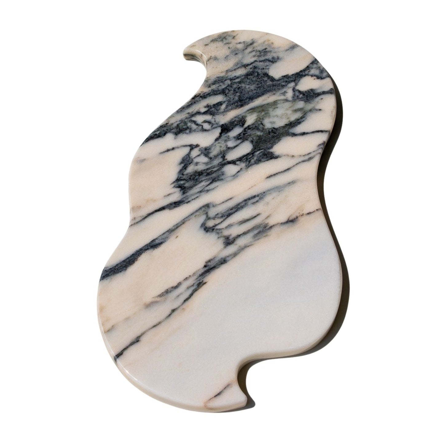 MEDUSA Tray