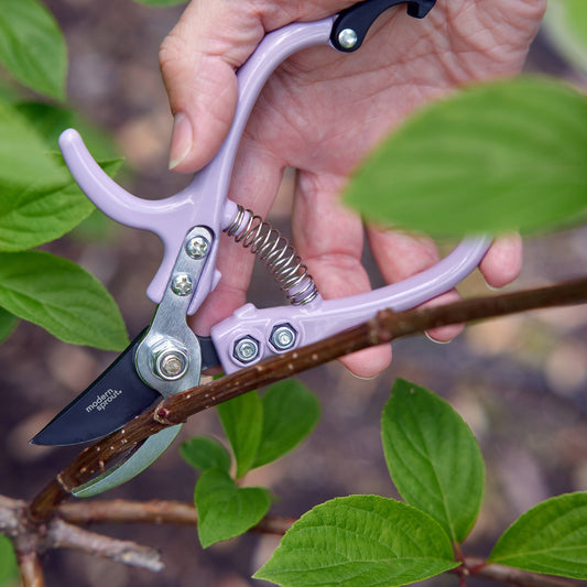 Garden Pruners (Lavender)