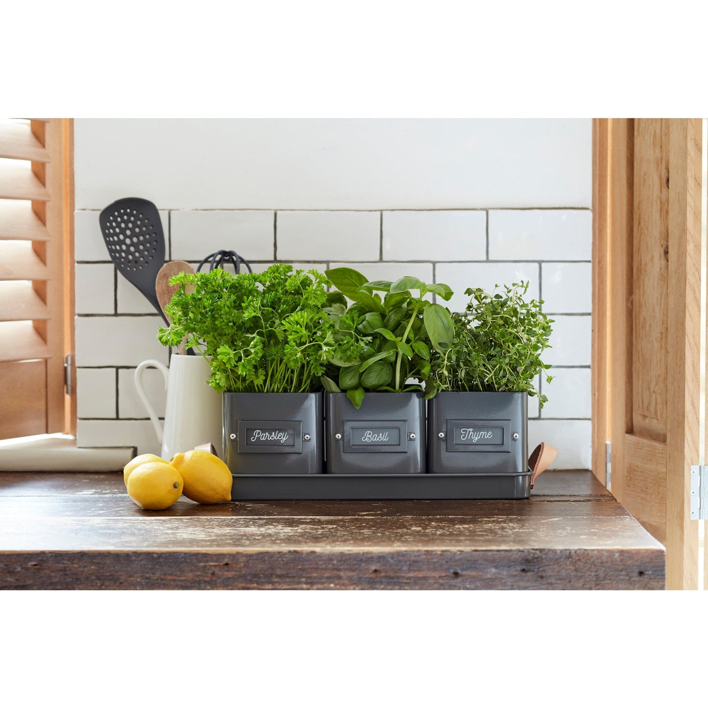 Burgon & Ball® 3 Herb Pots with Leather Handled Tray, Charcoal