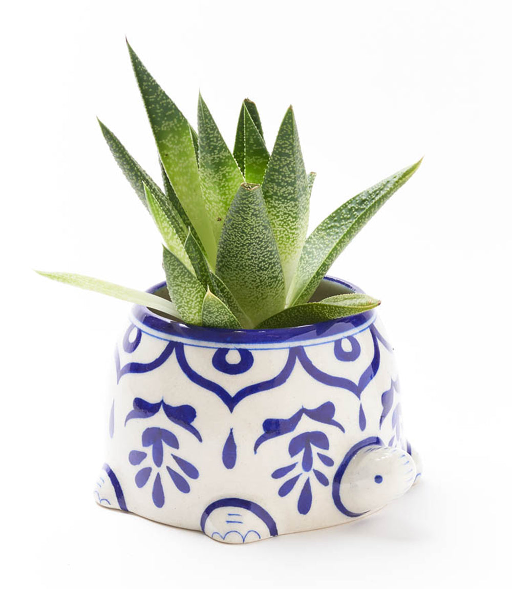 Lalita Mama Turtle Succulent Planter - Hand Painted Ceramic