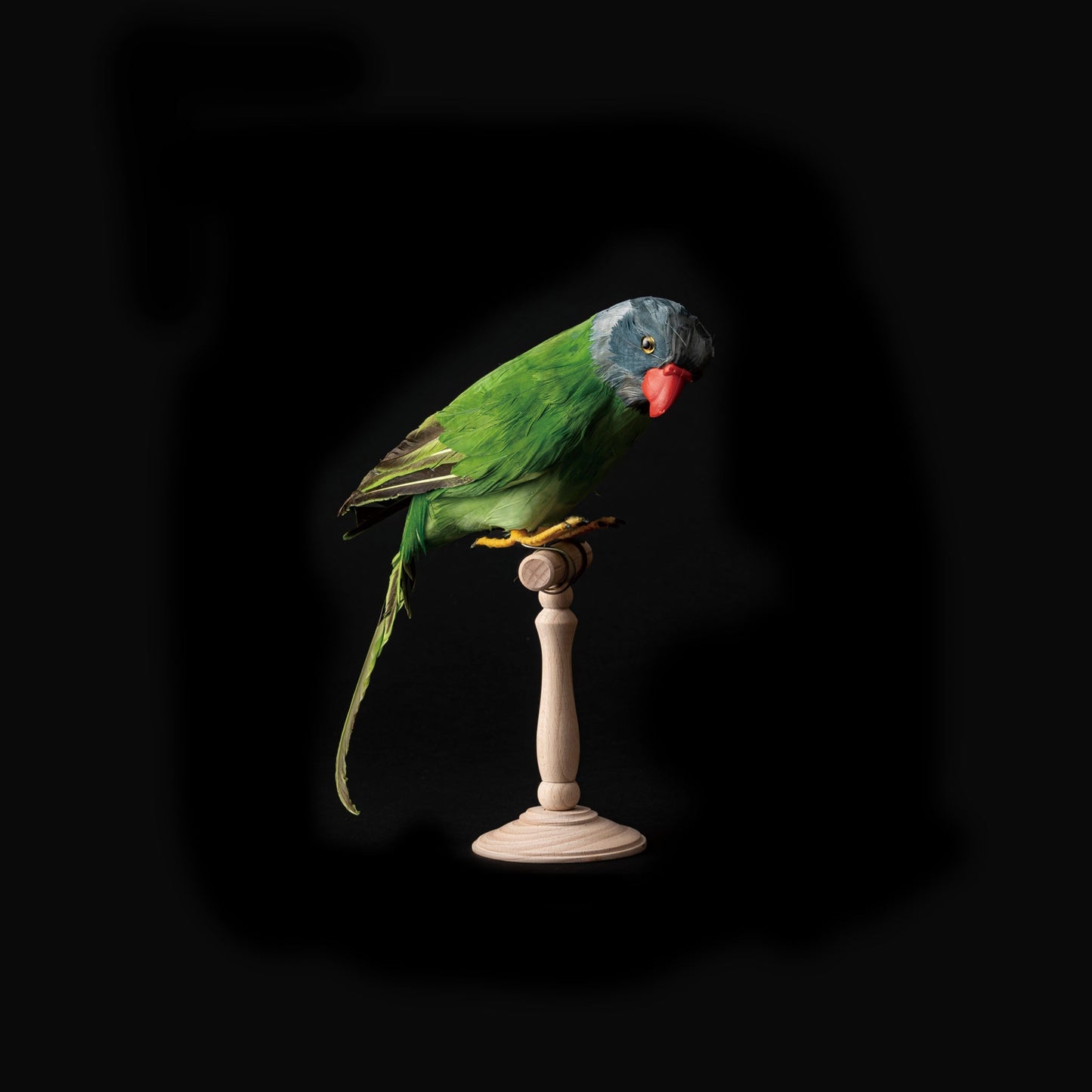 Artificial Birds / Green Parrot