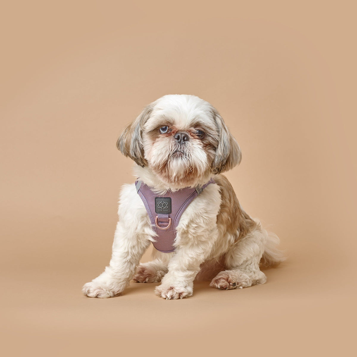SoHo Complete Dog Walking Set - Lilac Gray