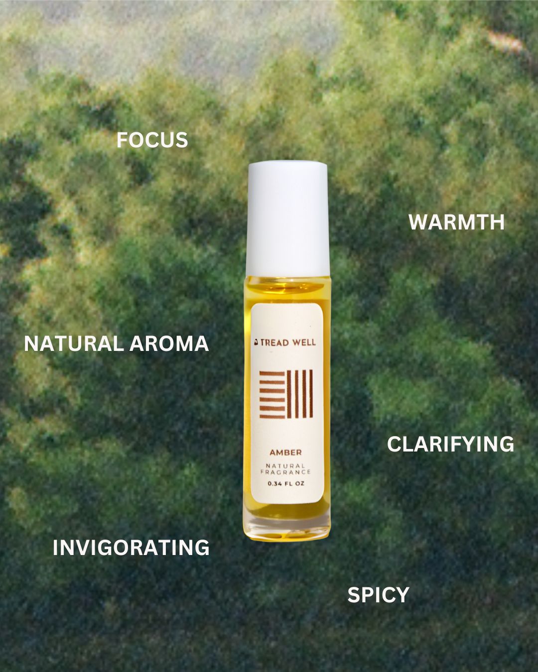 Natural Fragrance - Amber