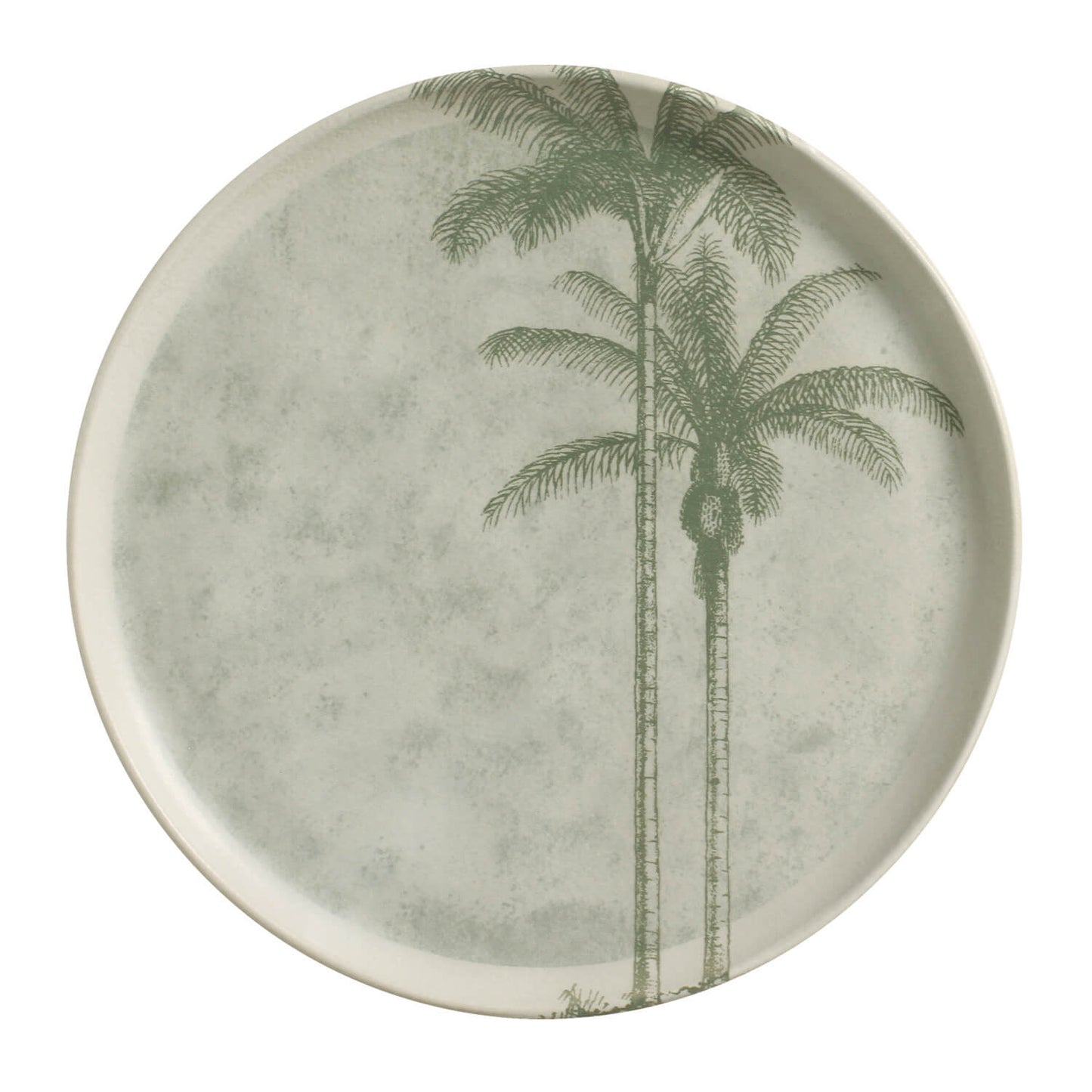 Dinner Plate Set of 6