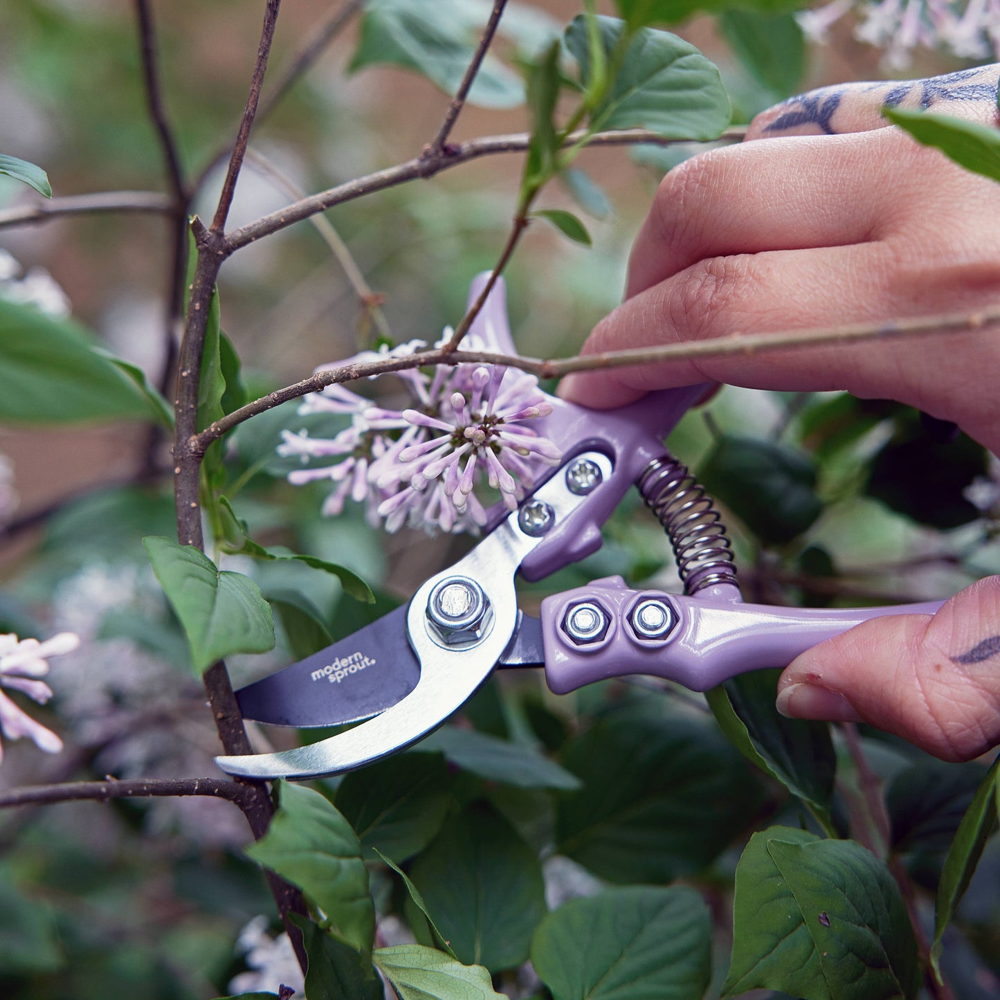 Garden Pruners (Lavender)