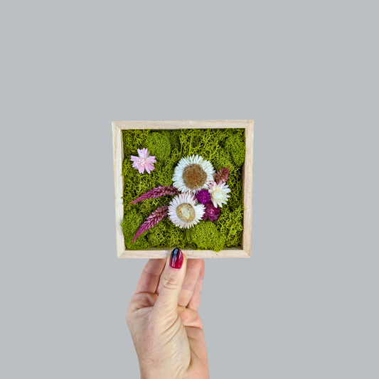 Square Garden