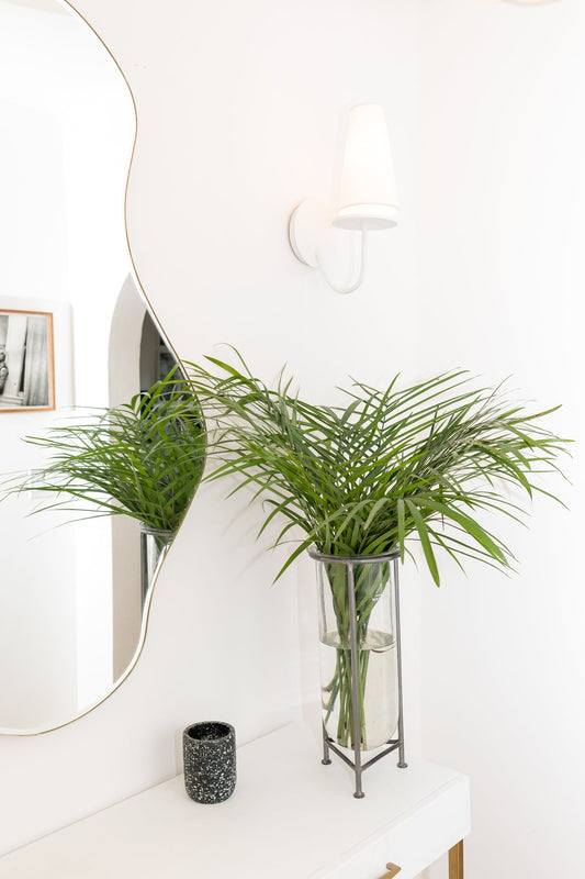 Glass Tube With Stand