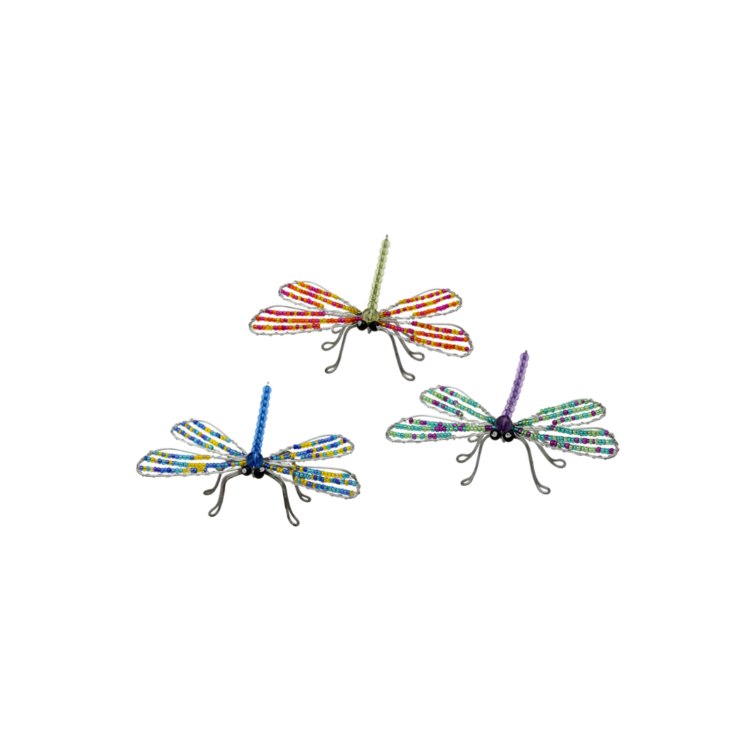 Dragonfly, Sm Asst (Set of 6)