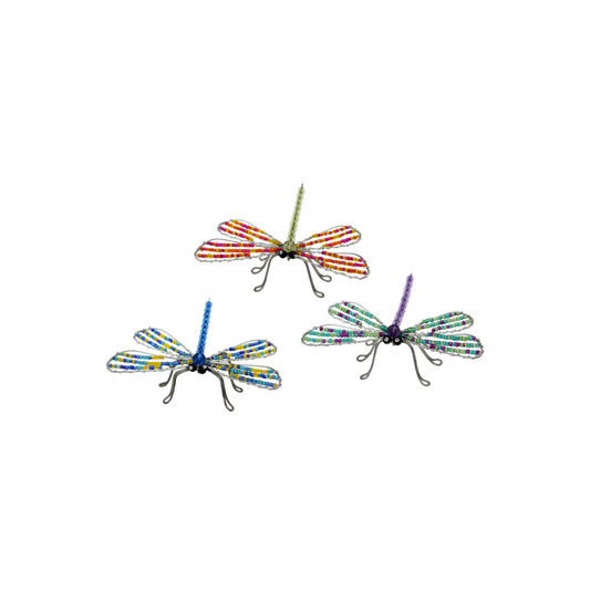 Dragonfly, Sm Asst (Set of 6)